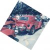 hugo_0006