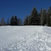 BCS2007_0128_134035
