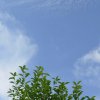 BEO_2007_0602_180924