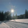 bcs_0004
