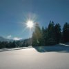 bcs_0005