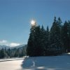 bcs_0006