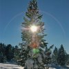 bcs_0011