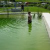 2007_0630_163202