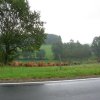 SI07_2007_0901_162928